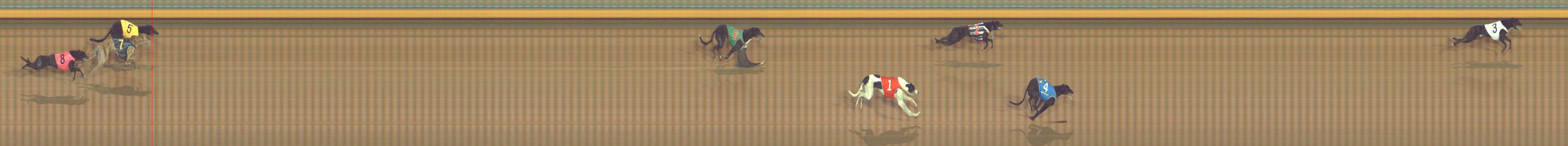 Photo finish for Bendigo Race 13