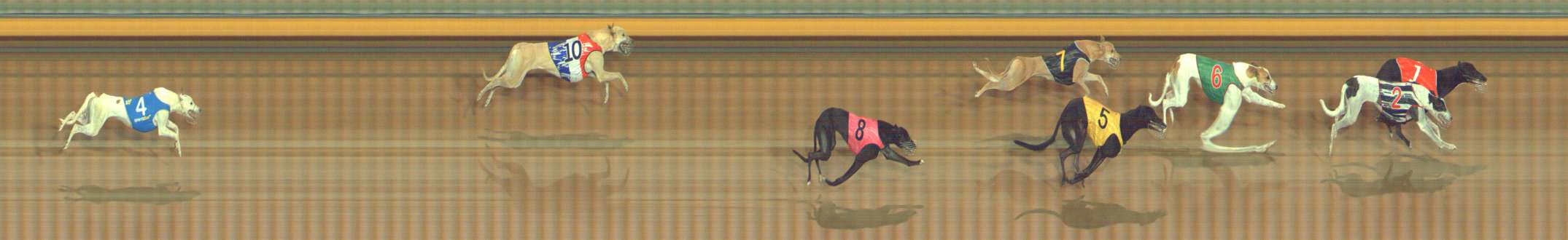 Race result finish photo