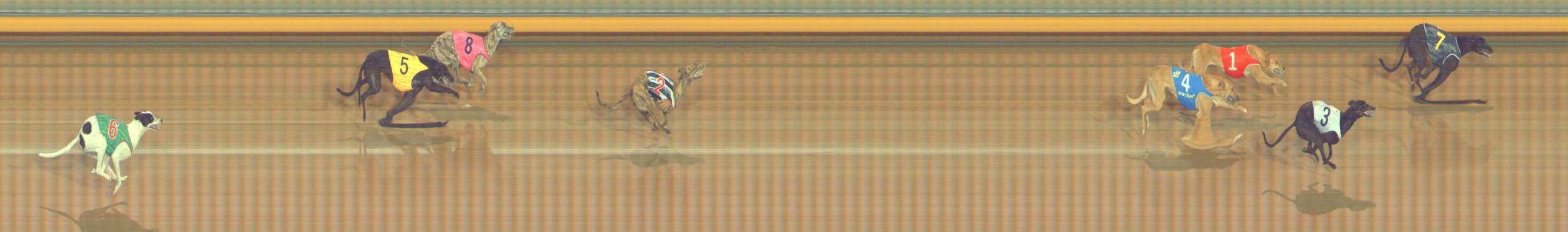 Photo finish for Bendigo Race 2