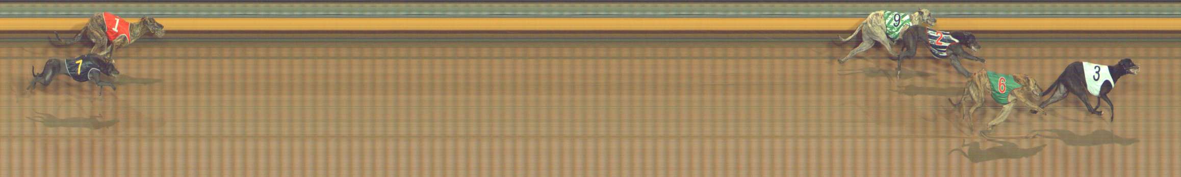Photo finish for Bendigo Race 3
