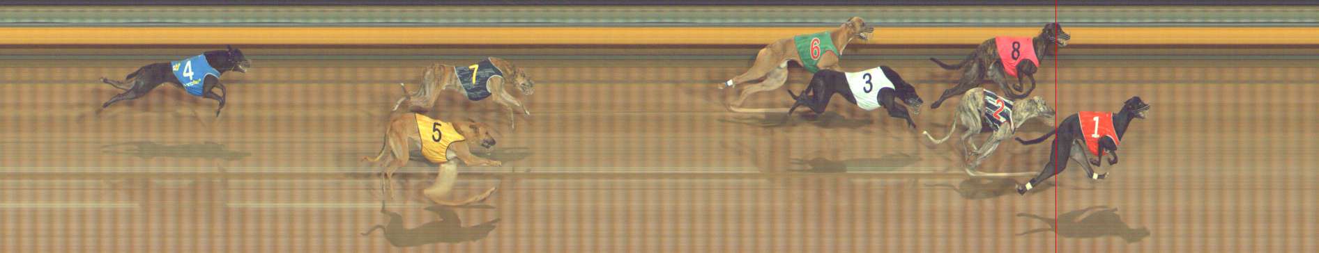 Photo finish for Bendigo Race 5