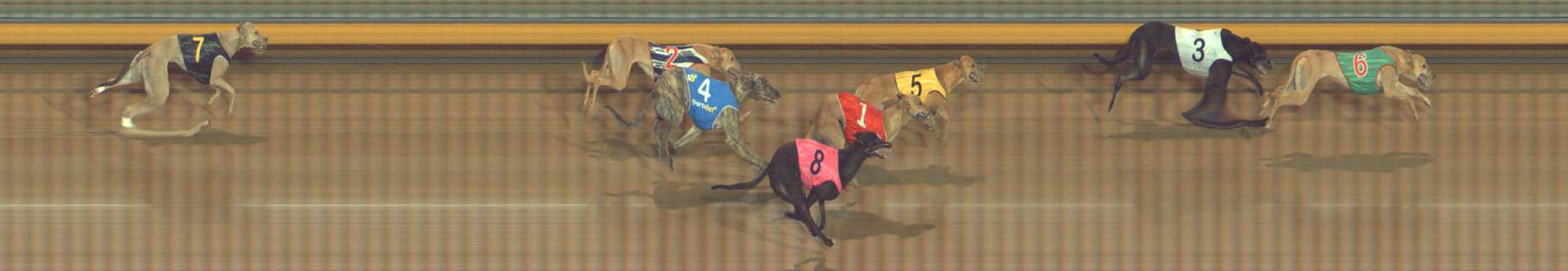 Photo finish for Bendigo Race 7