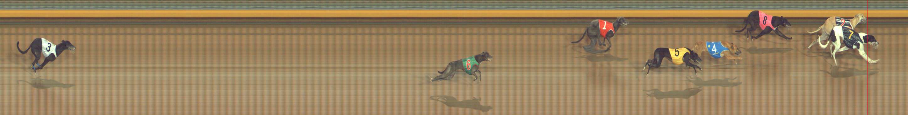 Photo finish for Bendigo Race 9