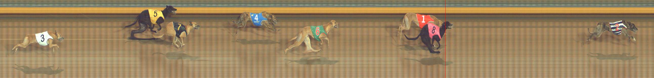 Photo finish for Bendigo Race 10