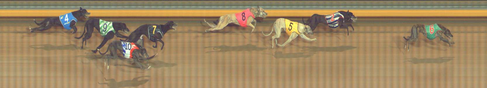 Photo finish for Bendigo Race 11