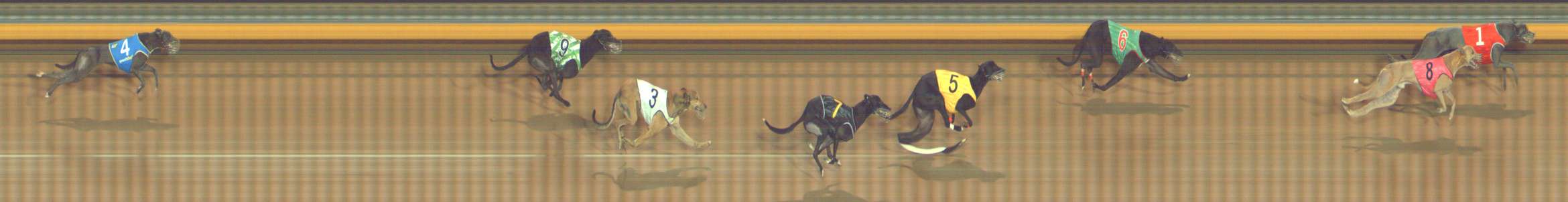 Photo finish for Bendigo Race 12