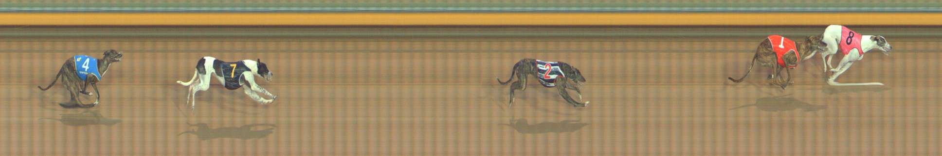 Race result finish photo
