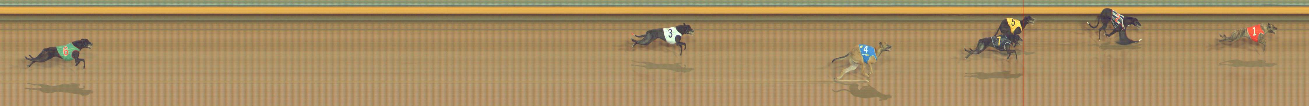 Photo finish for Bendigo Race 2