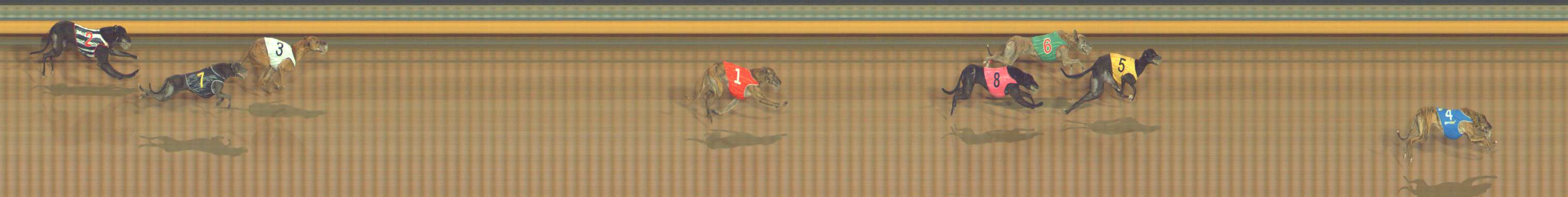 Photo finish for Bendigo Race 3