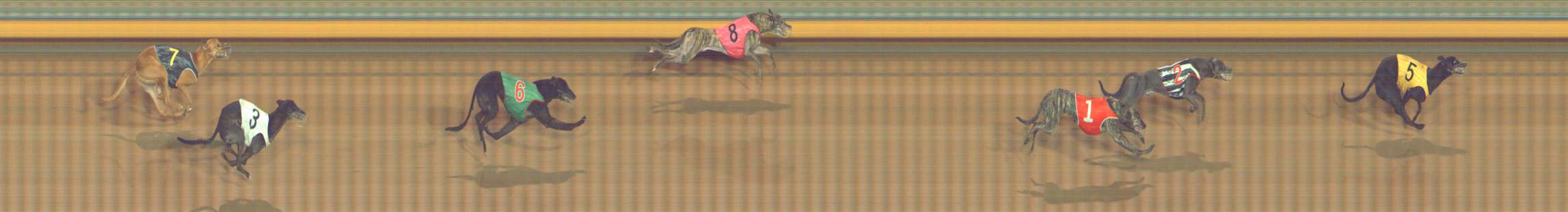 Photo finish for Bendigo Race 5