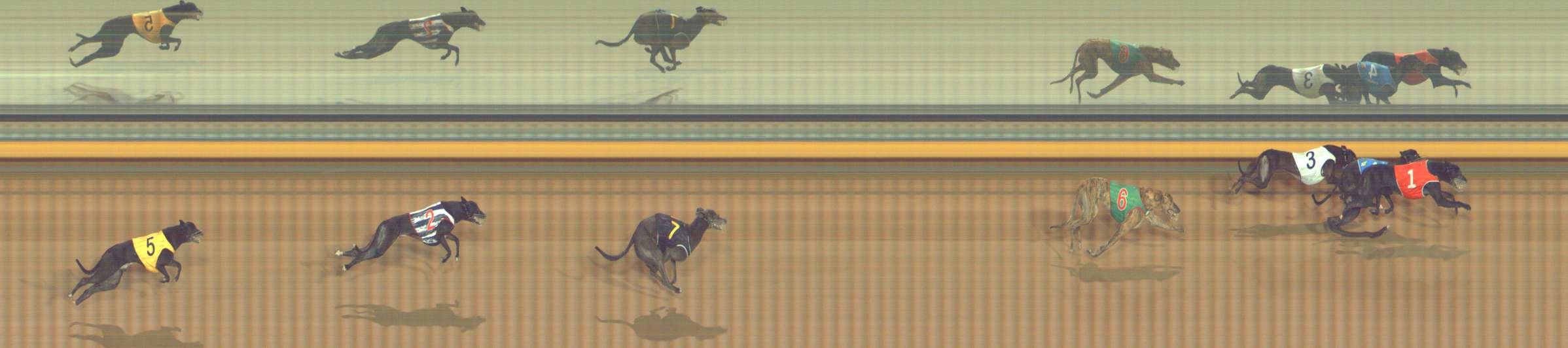 Photo finish for Bendigo Race 6