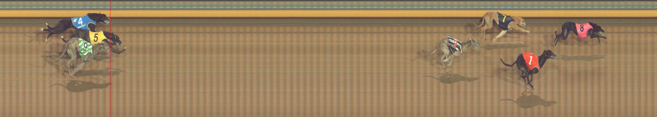 Photo finish for Bendigo Race 8