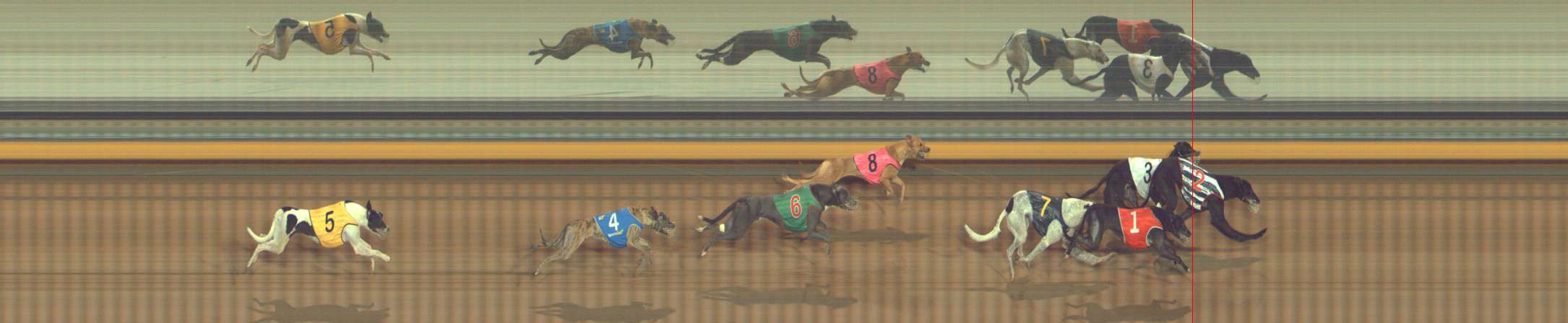 Photo finish for Bendigo Race 9