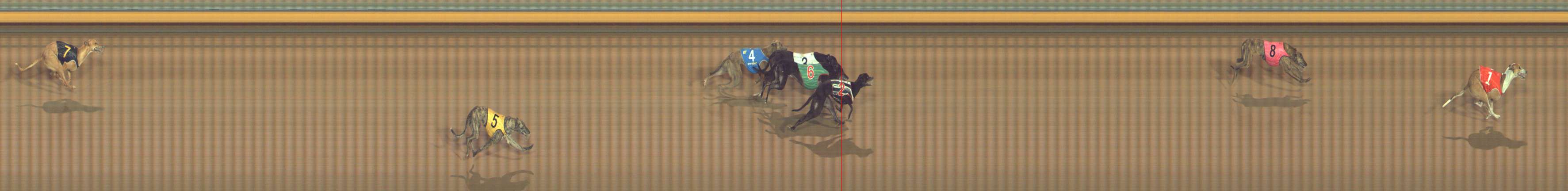 Photo finish for Bendigo Race 10