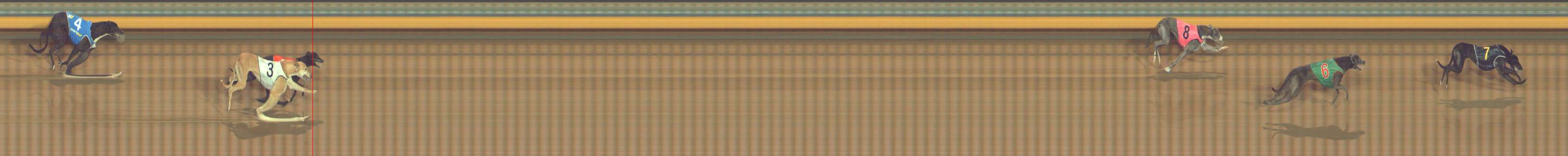 Photo finish for Bendigo Race 11