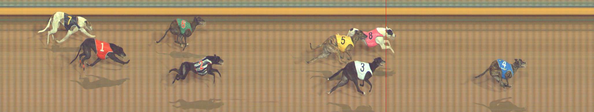 Photo finish for Bendigo Race 12