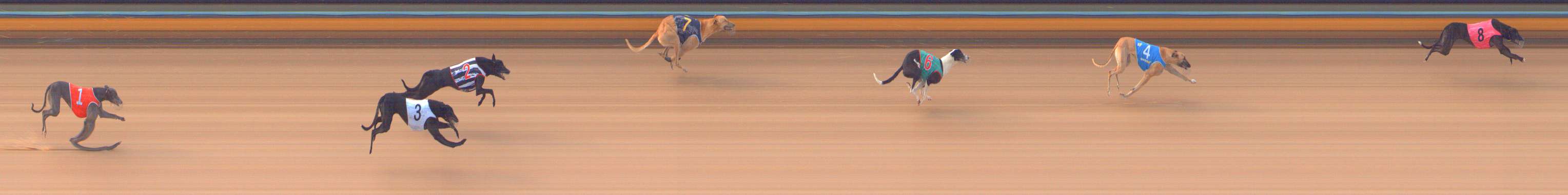 Photo finish for Bendigo Race 1