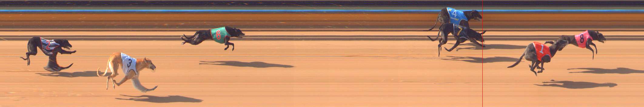 Photo finish for Bendigo Race 2