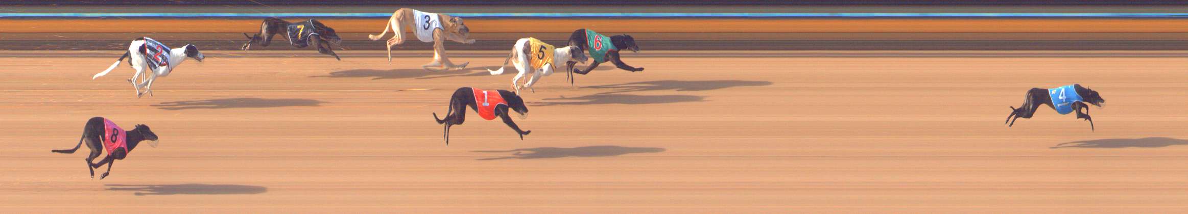 Photo finish for Bendigo Race 5