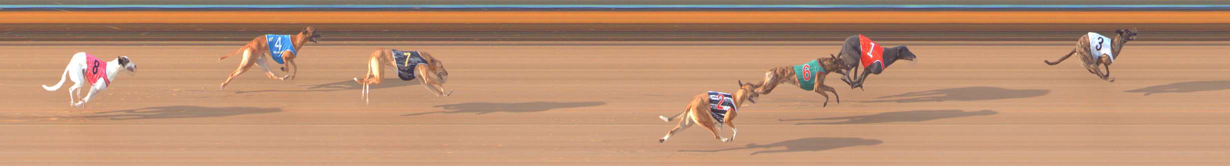 Photo finish for Bendigo Race 6
