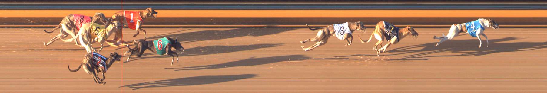 Photo finish for Bendigo Race 8