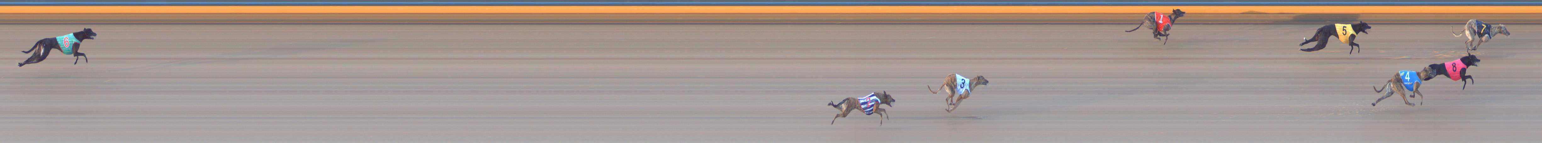 Photo finish for Bendigo Race 9
