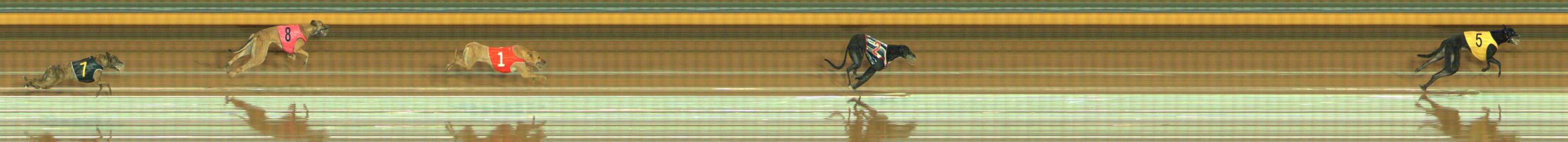 Photo finish for Bendigo Race 1