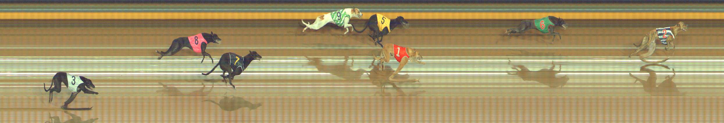 Photo finish for Bendigo Race 2