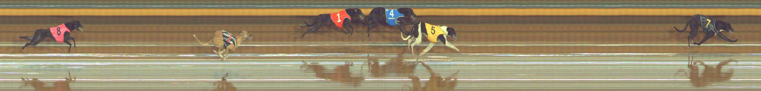Photo finish for Bendigo Race 4
