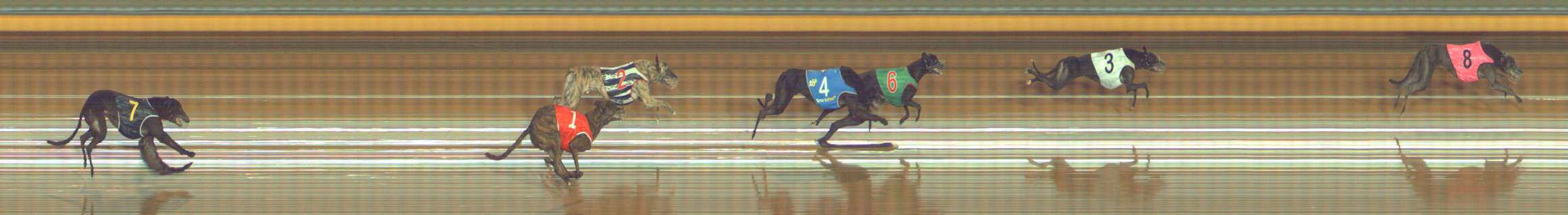 Photo finish for Bendigo Race 5