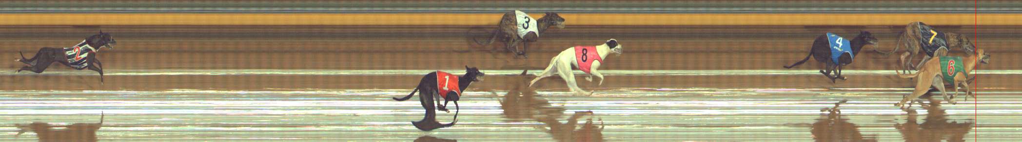 Photo finish for Bendigo Race 7