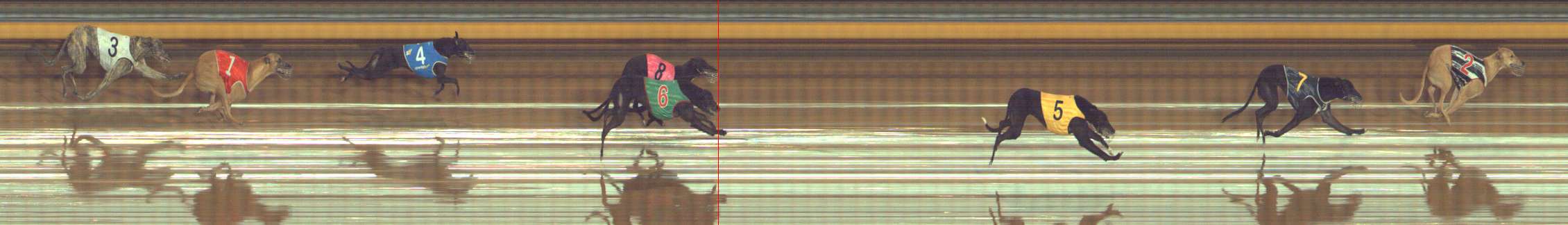 Photo finish for Bendigo Race 8