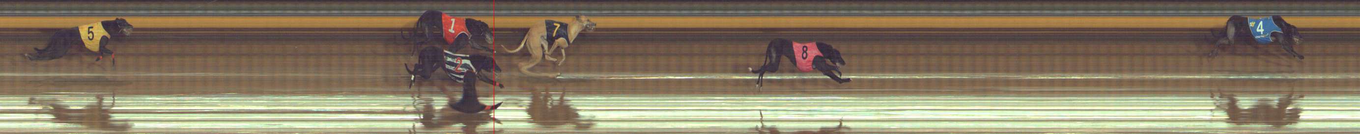 Photo finish for Bendigo Race 9