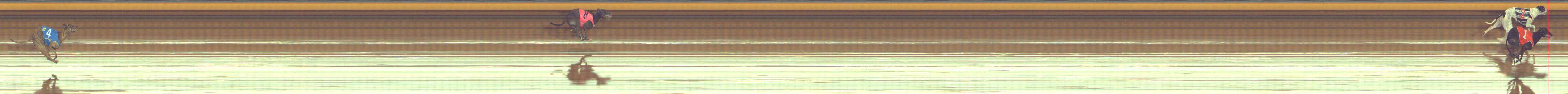 Photo finish for Bendigo Race 10