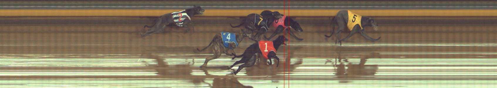 Photo finish for Bendigo Race 11