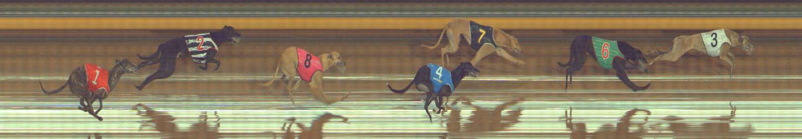 Photo finish for Bendigo Race 12