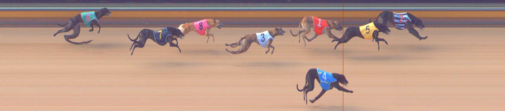 Photo finish for Bendigo Race 3
