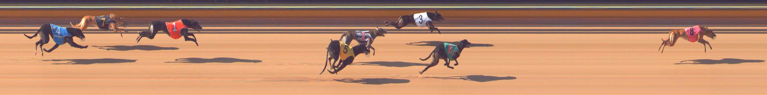Photo finish for Bendigo Race 4