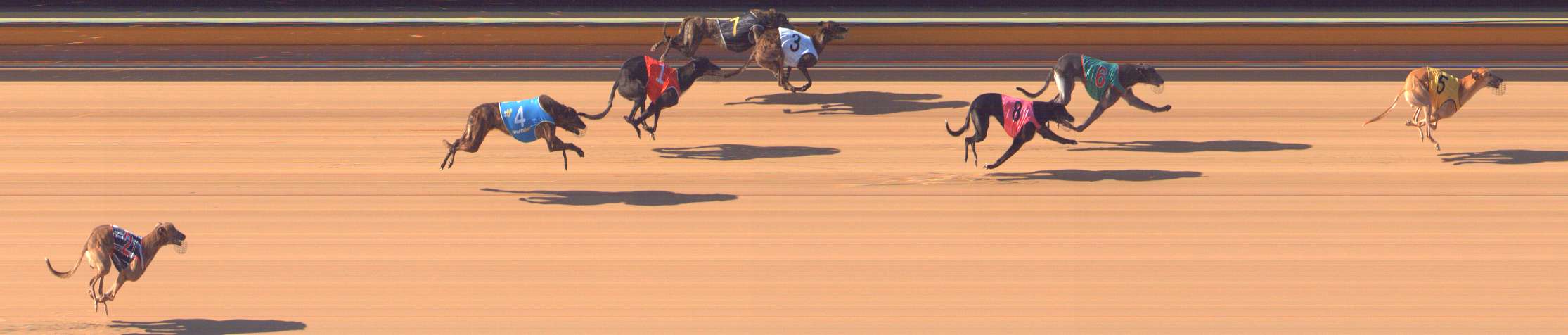 Photo finish for Bendigo Race 5