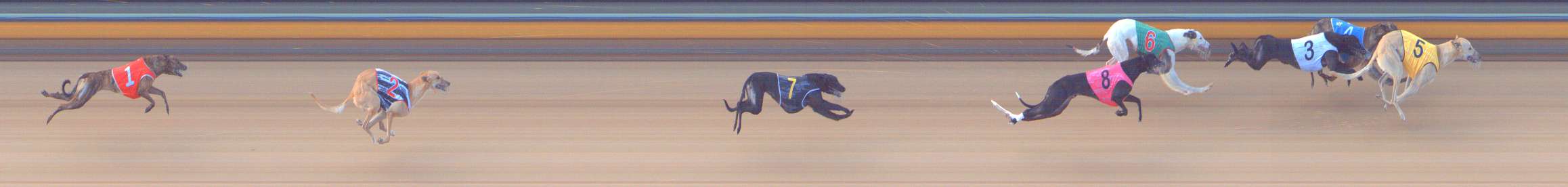 Photo finish for Bendigo Race 6