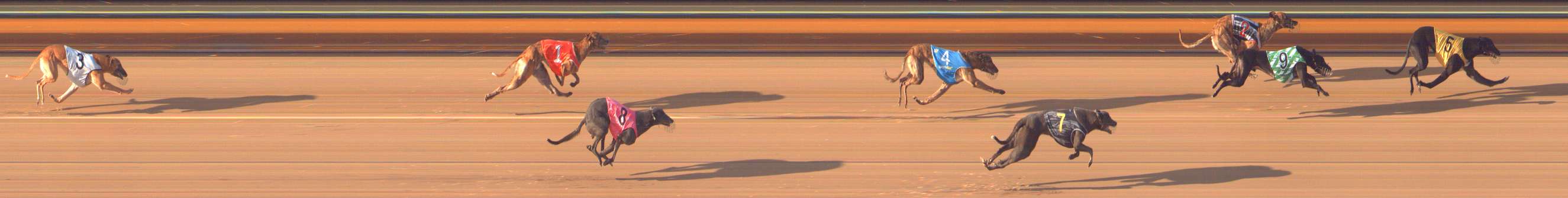 Photo finish for Bendigo Race 7