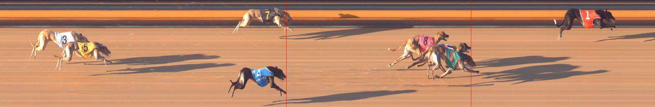 Photo finish for Bendigo Race 8