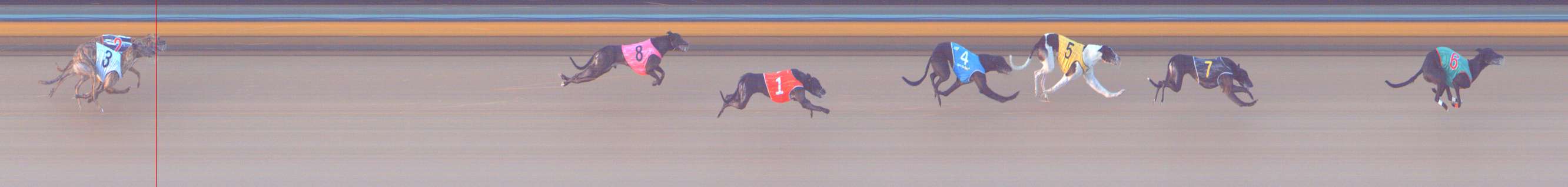 Photo finish for Bendigo Race 10