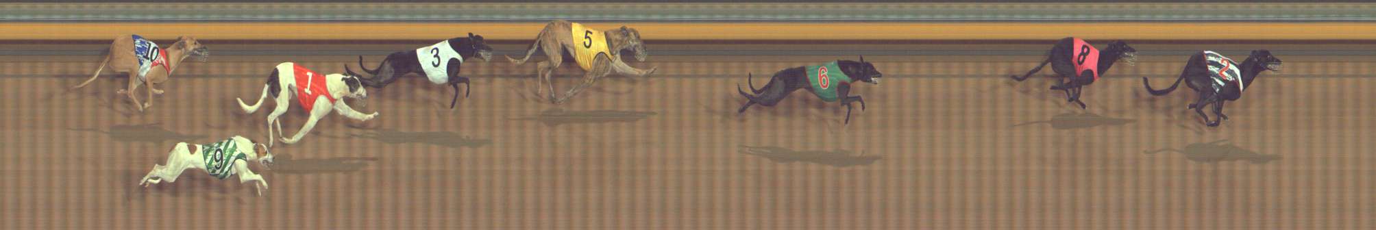 Photo finish for Bendigo Race 12
