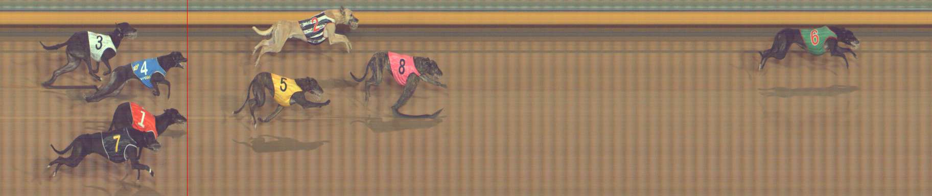 Photo finish for Bendigo Race 13