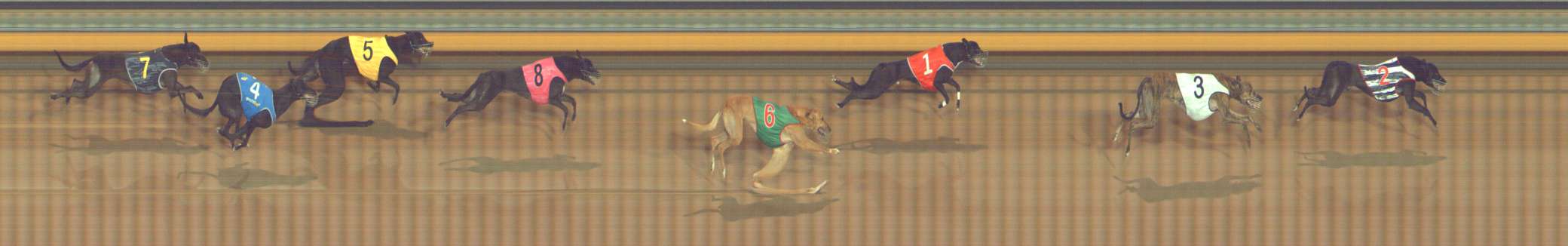 Photo finish for Bendigo Race 2