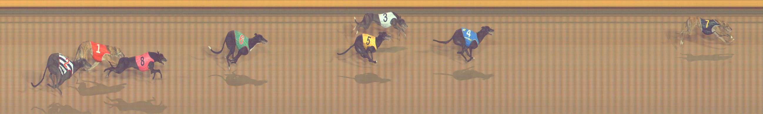 Photo finish for Bendigo Race 7