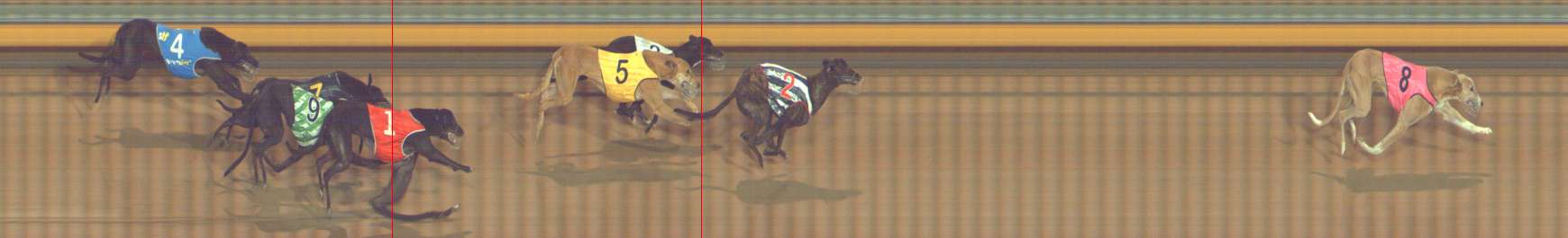Photo finish for Bendigo Race 9