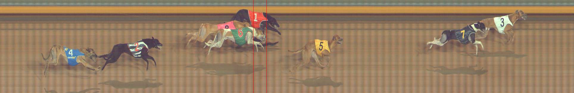 Photo finish for Bendigo Race 11