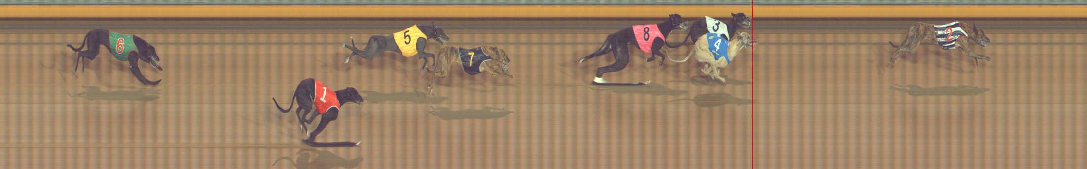 Photo finish for Bendigo Race 12
